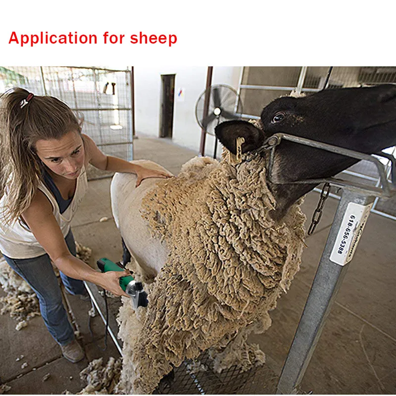 110V/220V 900W Electric Shearing Machine Wool Scissors 6 Gear Speed Adjustable For Sheep Goat Clipper Tools Kit
