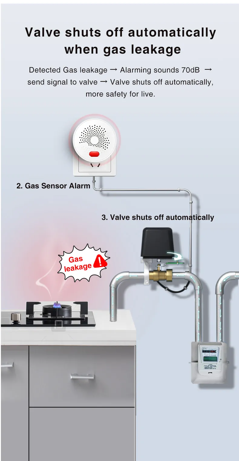 Tuya Zigbe Natural Gas Sensor EU Combustible Household Smart LPG Gas Alarm Detector Leakage Sensor fire Safety Smart Home