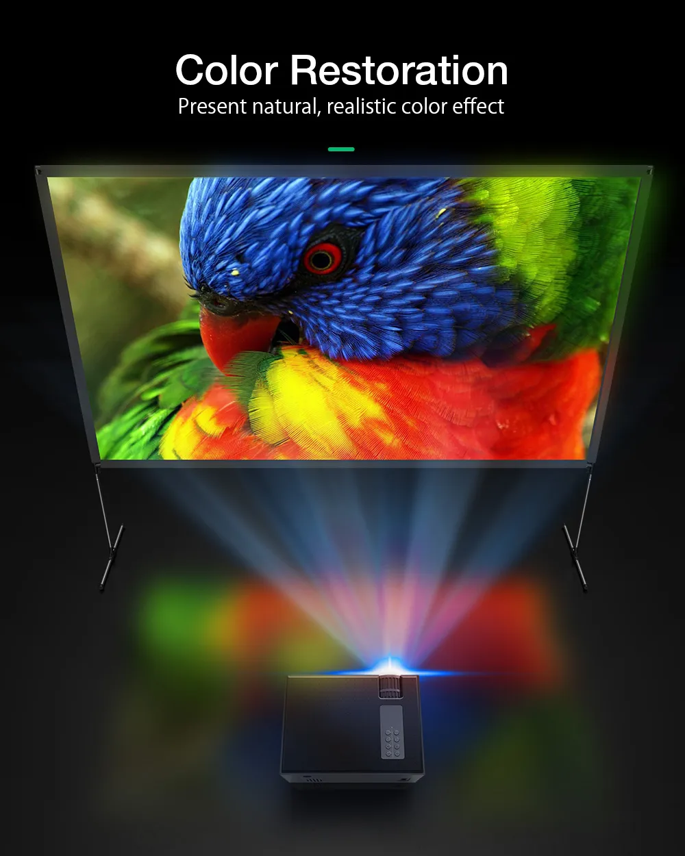 BlitzWolf® BW-VS6 80/100/120-Inch Projector Screen with Stable Stand 4K Resolution 16:9 Foldable Anti-Crease Easy Installation Outdoor Movie Screen