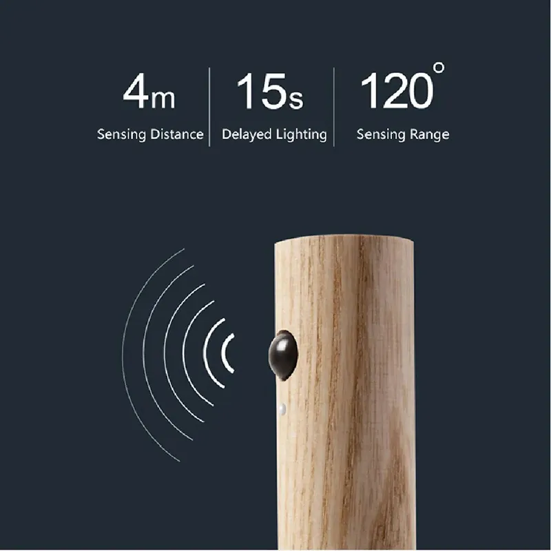 Magnetic USB LED Human body sensing Night Light Kitchen Cabinet Light Home Stair Bedroom Table Motion Lamp Bedside Lighting