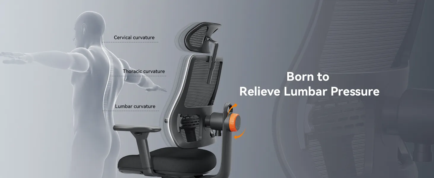 NEWTRAL MAGICH003 High Back Ergonomic Chair Auto-Following Backrest Adjustable Headrest Seat Depth Adaptive Lower Back Support 100-300 lbs Height Capacity