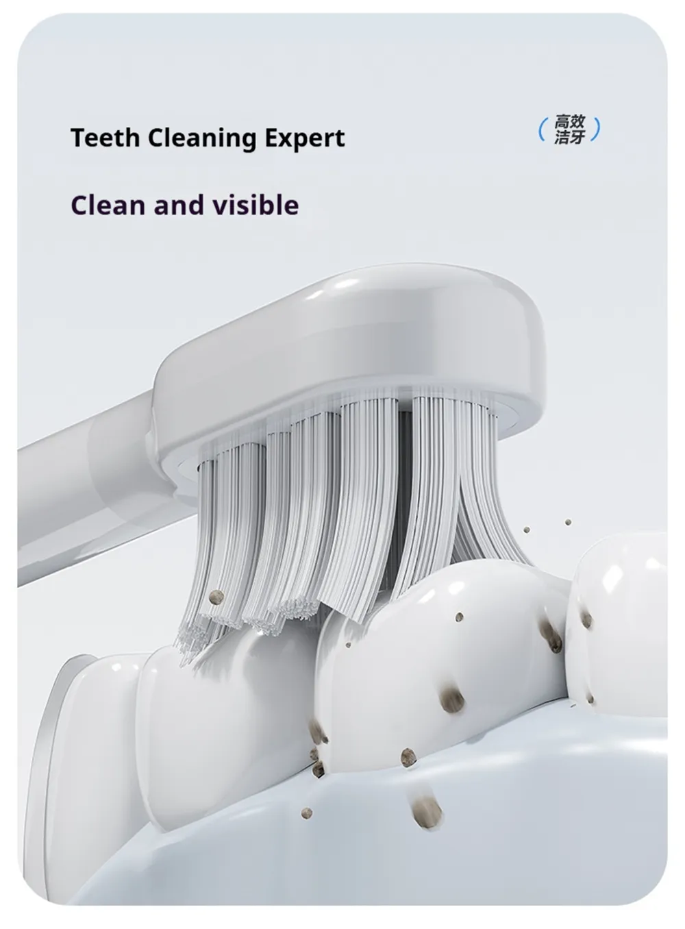 Wireless Charge Oscillation Sonic Electric Toothbrush 60-Day Battery Life IPX7 Waterproof 9 Modes Professional Sweep-Vibration Oral Care Wireless Charge Oscillation Sonic Electric Toothbrush 60-Day Battery Life IPX7 Waterproof 9 Modes Professional Sweep-Vibration Oral Care