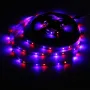 4M DC12V 19.2W 240 SMD 3528 Non-waterproof Red/Blue/Green/White/Warm White/RGB Flexible LED Strip