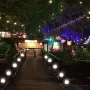 2PCS Solar Lawn Light Round Ball LED Lawn Light Courtyard Garden Park Outdoor Solar Lawn Light IP65 Waterproof