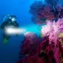 XHP70 Diving Light Yellow White LED 1500 Lumens Super Bright Diving Torch Underwater 50m Flashlight IPX8 Waterproof Diving Lamp for Diving Activities