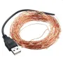 10M 100 LED USB Bakır Tel LED Dize Peri Işığı Noel Partisi Dekoru için