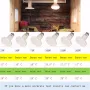 Hard Ceramic Sockets Heat Light 220V 25W / 50W / 75W / 100W / 150W / 200W