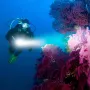 BIKIGHT High Brightness Diving 4 Modes Super Brigh Flashlight Professional Aluminum Scuba Lantern 200M IPX8 Waterproof 5*T40 LED Underwater Torches