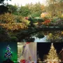 10M 80LED Battery Powered LED Funky ON/ Twinkling Lamp Fairy String Lights 