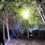 COB 7 LED Yüksek Güçlü LED El Feneri Güçlü USB Şarj Edilebilir El Feneri Taşınabilir Açık Hava Lambası Dahili Pil