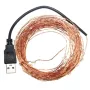 10M 100 LED USB Bakır Tel LED Dize Peri Işığı Noel Partisi Dekoru için