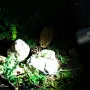 Haikelite HK4S 4xSST40 7000LM 500M Anduril UI Ultra Bright EDC Flashlight Type-C Quick Charge USB Rechargeabl Mini LED Torch 6500K