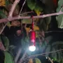 MATEMINCO CSF06 350 Lumens LED Keychain Flashlight Type-C USB Rechargeable Mini Size LED Torch Keychain Light Camping Light
