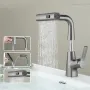 Pull Out Basin Faucet 360° Rotatable 304 Stainless Steel Kitchen Sink Mixer Tap with Pull Out Sprayer Hot And Cold Dual Control