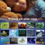 Multifunctional Starry Sky Projector Lamp with 13 Star Films Bluetooth Speaker Night Light White Noise Sleep Aid Sounds Time Display Alarm Remote Control