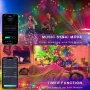 iDeal LED APP Smart Festival Decoration Small White Ball USB Magic Color Point Control Light String Villa 8 Function Leather Line Light String Garden Starry Sky Decorative Light