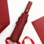 AGSIVO Travel Automatic Folding Umbrella Sun and Rain 10 Ribs Reinforced Windproof UPF 50+ UV Protection Auto Open Close For Men and Women