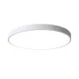 4000K Full Spectrum LED Ceiling Lamp Modern Simple Bedroom Lamp Thin Thickness for Living Room Bedroom Kitchen