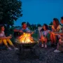 SINGLYFIRE 22 inch Fire Pit for Outside Outdoor Wood Burning Pit Steel Firepit Bowl BBQ Grill for Patio Camping Backyard