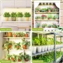 LED Quantum Board Plant Growth Lamp Indoor Aquarium Seedling Landscape Full Spectrum Green Plant Succulent Plant Fill Light