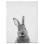 Cute Rabbit Canvas Wall Art Poster Animal Print Paintings Baby Nursery Room 