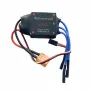 Brushless Two-Way ESC T Plug 3.5MM Banana Plug Remote Control RC Car And Ship Model Underwater Propeller Wind Boat 10A 12A 15A 20A 30A 40A 50A 60A 80A