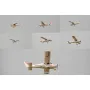 EPO Cessna 162 1100mm Wingspan RC Airplane Aircraft KIT/PNP for FPV Aerial Photegraphy Beginner Trainner