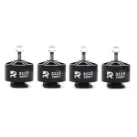 1PC / 4PCS RCD 3115 900KV 3-6S Brushless Motor for 10 Inch RC FPV Racing Drone