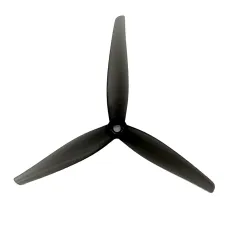  Rimkus Rimkus |  Pietų Afrika 
                    