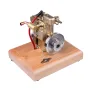 OKMO M12B 1.6cc Mini Water-cooled Single Cylinder 4-stroke Gasoline Gad Engine Upgrade ICE Model with Wooden Base Science Discovery Education Desktop Decorations Collection Toys