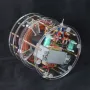 Columbus Egg Rotating Magnetic Field Model 220V Copper Coil Acrylic Structure Scientific Demonstration Tesla Theory Display