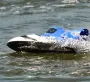 TY XIN 749 2.4G RC Barco Brushless Jet Speedboat Virado Reset À Prova D'água Controle Proporcional Navio de Controle Remoto Modelos de Veículos de Alta Velocidade