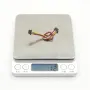 PH1.0 Connector FPV Cable Flexible Design High Compatibility Original Accessory for DJI O4 Air Unit