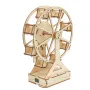 Creative Electric Ferris Wheel Wooden DIY Science Set Puzzle Educational Scientific Experiments Early Education Toys for Children