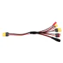 20cm 20AWG 4.0mm Banana Plug to XT60 XT30 DC5.5 T Plug Charger Adapter Cable for IMAX B6 ISDT Charger