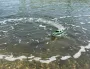 Volantexrc 79506 VECTOR28 2.4G 2CH RTR RC Boat Waterproof 25km/h High Speed with LED Light Water Cooling System Remote Control Boat Vehicle Model