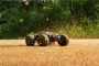 XLF X03A MAX Brushless Upgraded RTR 1/10 2.4G 4WD 60km/h RC Car Model Elektryczny Pojazd Terenowy