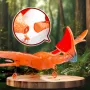 QF003 Pterosaur Tapejara 390mm Wingspan 2.4G 2CH Bulit-in Gyro EPP RC Airplane Glider RTF