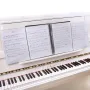 FB-04 A4 Boyutunda Müzik Notası Tutucu Kağıt Levha Belge Dosyası Düzenleyici Müzik Kağıdı Klasörü 40 Cepli Gitar Keman Piyano Çalanlar İçin