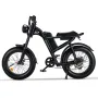 [USA DIRECT] Riding's times Z8 48V 15A 500W 20*4.0 Inch Fat Tire Electric Bike 90-120km Max Range Dual Mechanical Disc Brake