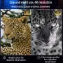 CZ080 Infrared Tactical Binocular Telescope 4K UHD 40MP 600M Binoculars Night Vision with 5000mAh Battery, 32GB SD Card Hunting Trail Camera 8X Digital Zoom Telescope