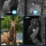 IPRee NV2180 Night Vision Binoculars Infrared Goggles Digital Hunting Telescope 4K Video 36MP Night Vision Hunting Camping Equipment