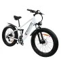 [USA Direct] BAOLUJIE DP-2615 48V 12AH 500W 26*4.0inch Electric Bicycle 30-40KM Max Mileage 120KG Payload Electric Bike