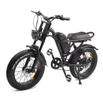 [US Direct] Idpoo IM-J1 Electric Bike 48V 15.6AH 750W Electric Bicycle 20*4.0 Inch 80-120KM Mileage Range Max Load 120KG