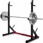 [US Direct] Dipping Station 43.5~67.5inch High 13 Levels Adjustable Weight Lifting Bench Barbell Stand Fitness Gym Home 550 Pound Loading