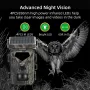 Mini700 Outdoor Solar Wild Camera 20MP 1080P HD Wild Animal Detect Trail Camera Monitoring Infrared Sensing Night Vision