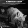 Telecamera da caccia con tracciamento della fauna selvatica da 14 MP, supporto streaming live 4G, risoluzione video HD 2,7K, impermeabile, rilevamento del movimento, doppia telecamera PIR per visione notturna, per fotografia all'aperto
