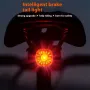 Wind&Moon WT09S Smart USB Rechargeable Waterproof LED Bike Rear Light with Smart Brake Sensing for Night Cycling and MTB