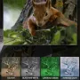 IPRee NV2180 Night Vision Binoculars Infrared Goggles Digital Hunting Telescope 4K Video 36MP Night Vision Hunting Camping Equipment