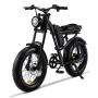 [USA DIRECT] Riding's times Z8 48V 15A 500W 20*4.0 Inch Fat Tire Electric Bike 90-120km Max Range Dual Mechanical Disc Brake